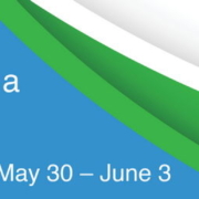 Great Minds: Building A Community of Perinatal Mental Health Researchers in Canada