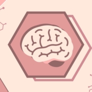 Mind the Gap: Hormonal Contraceptives and Brain Health—Symposium 4: Hormonal Contraceptives and Cognition