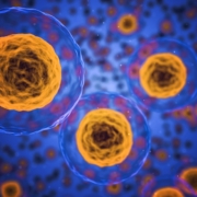 Sex Cells!