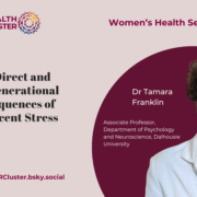 The Direct and Intergenerational Consequences of Adolescent Stress