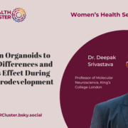 Using Brain Organoids to Study Sex Differences and Estradiol’s Effect During Human Neurodevelopment